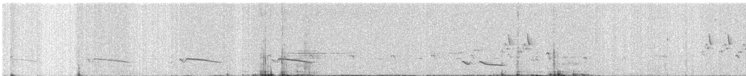 Cuco Pechigrís - ML645491154