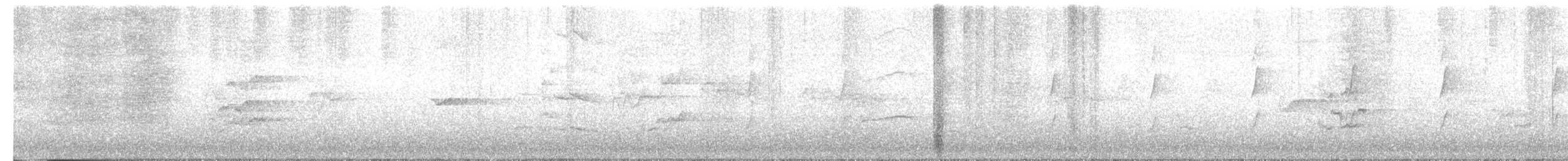 Channel-billed Cuckoo - ML645491161