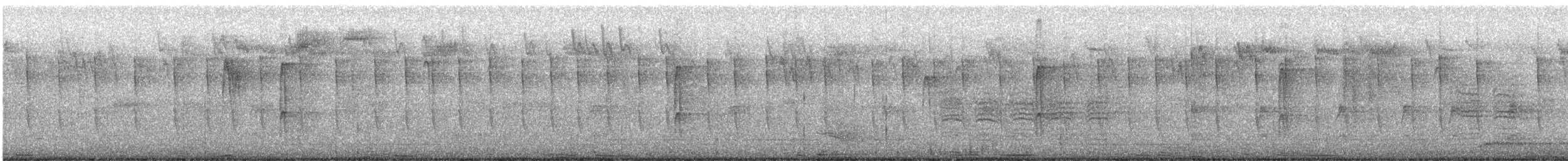 Downy Woodpecker - ML645491240