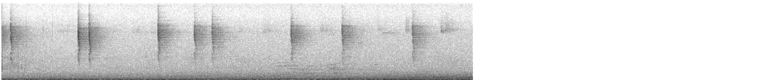 Pacific Wren - ML645491251