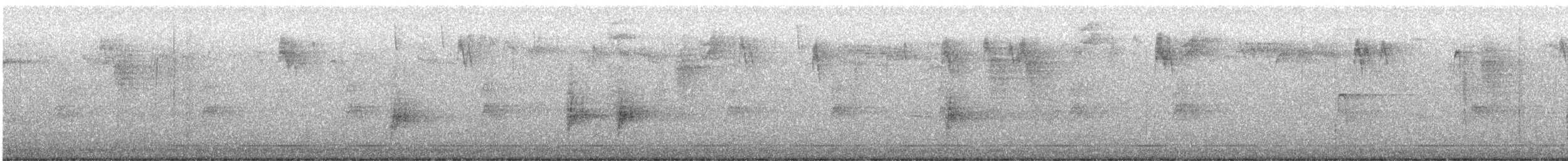 Bewick's Wren - ML645491254