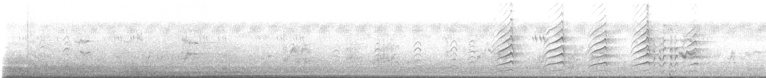 Wattled Lapwing - ML645491608