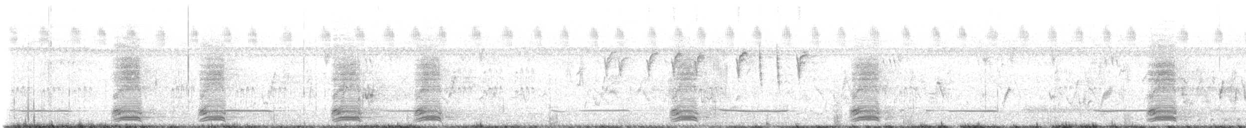 Pied Crow - ML645491631