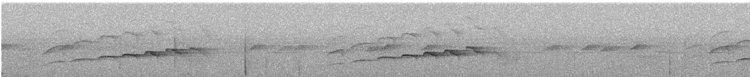 Olivaceous Woodcreeper (Amazonian) - ML645491683