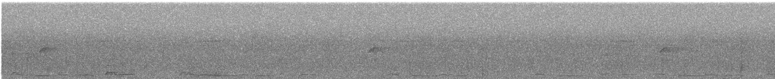 Spix's Guan - ML645491727