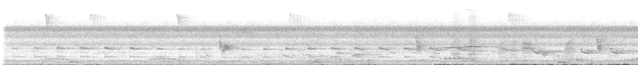 Western Red-billed Hornbill - ML645491899