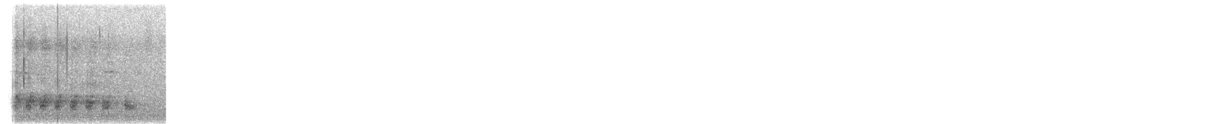 Hispaniolan Lizard-Cuckoo - ML645492198