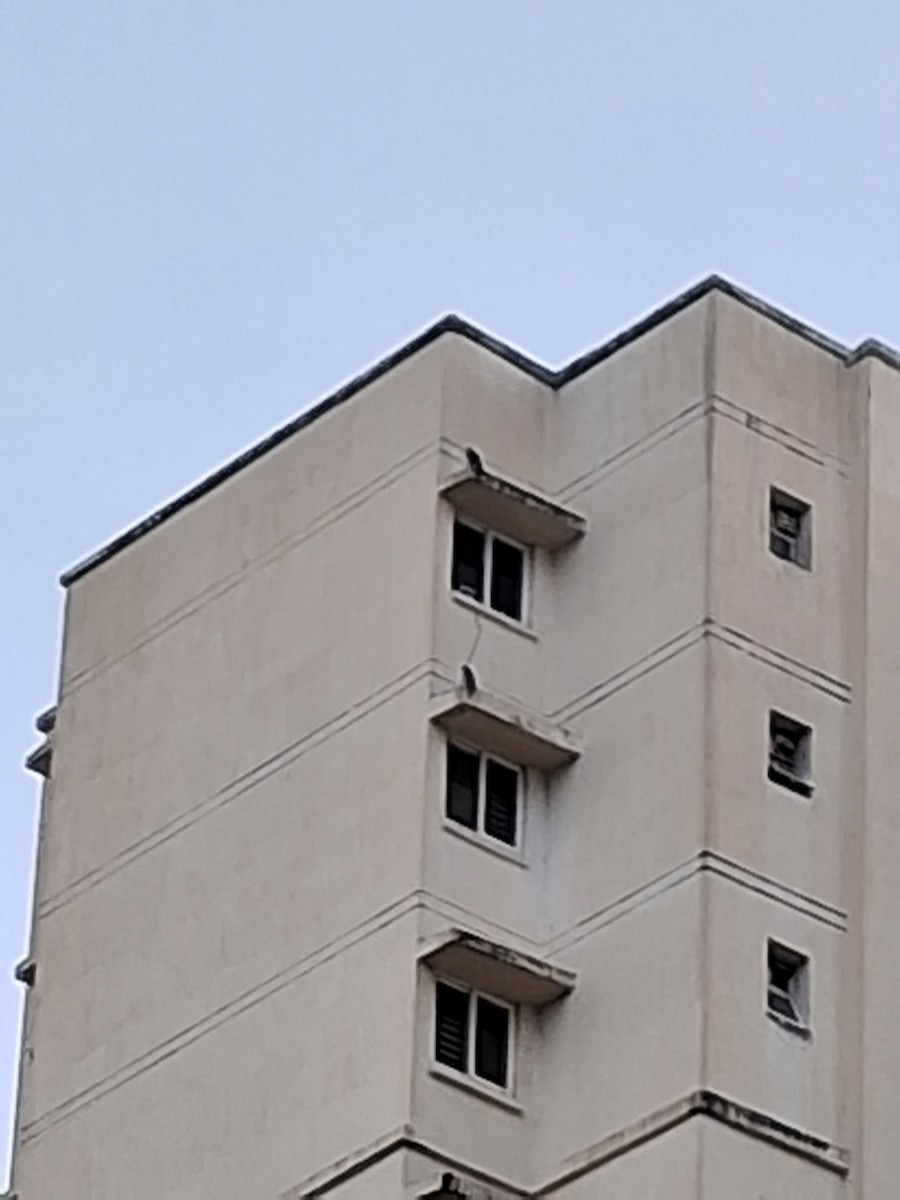 Gökdoğan - ML645492228