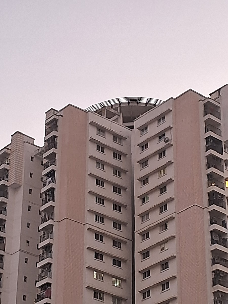 Gökdoğan - ML645492231