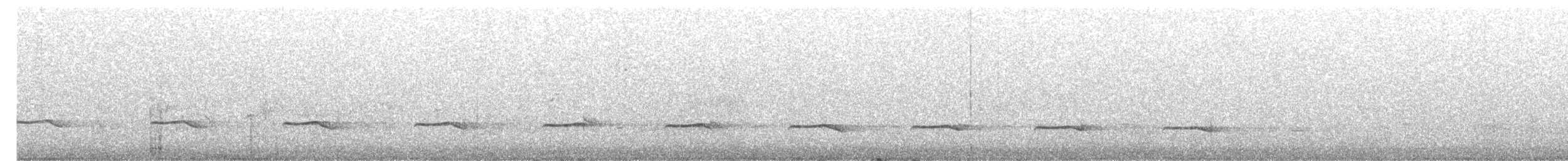 Кукавка австралійська [група variolosus] - ML645492700