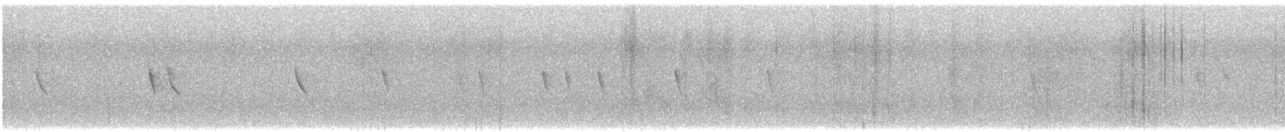 Білозорка золотиста - ML645492710