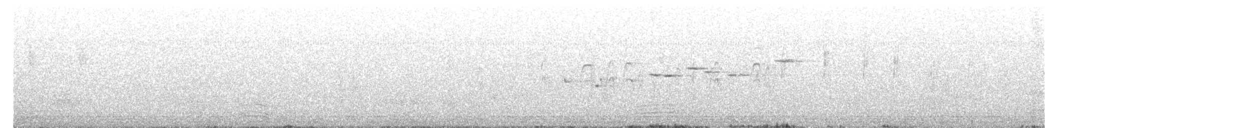 gråviftestjert - ML645492972