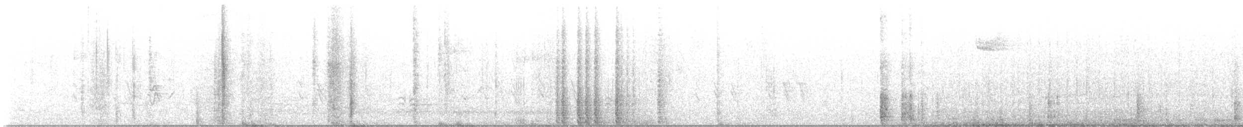 Pileated Woodpecker - ML645493196