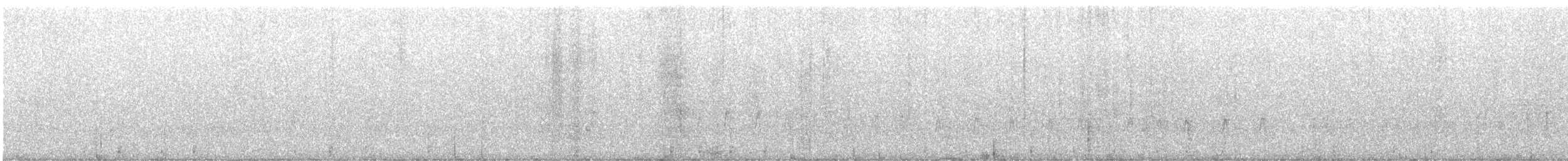 Black Woodpecker - ML645494046