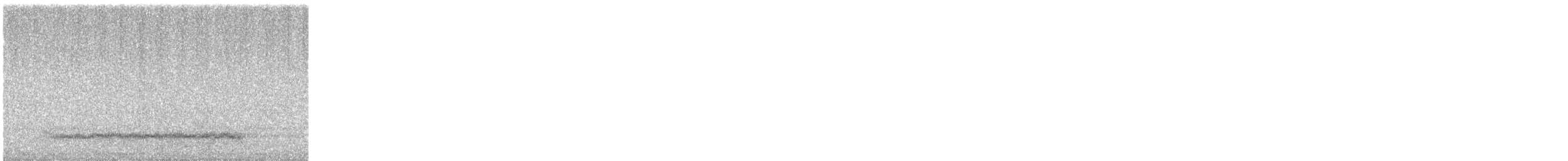 Western Barn Owl - ML645494423