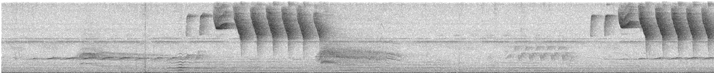 Tohi à bec jaune - ML645494762