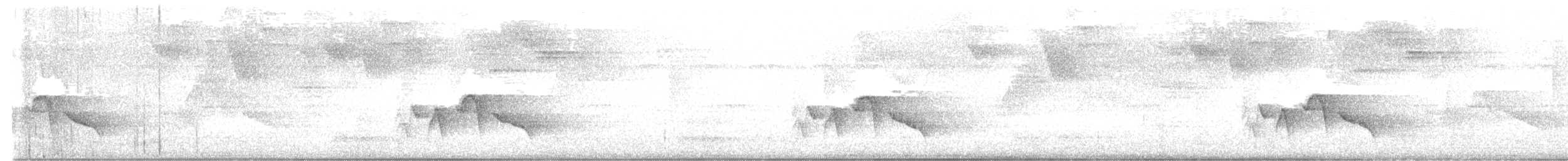 Puerto Rican Vireo - ML645494859