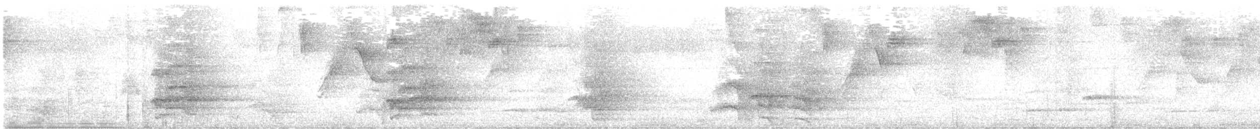 Puerto Rican Amazon - ML645494881