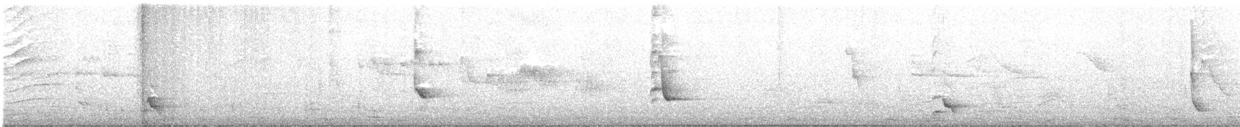 Pearly-eyed Thrasher - ML645494931