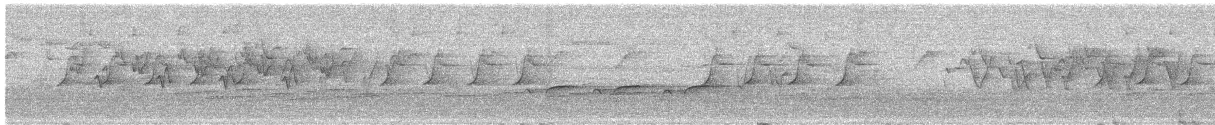 Kloss's Leaf Warbler - ML645495324