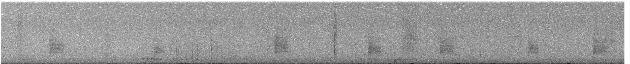 Bewick's Wren - ML645495545