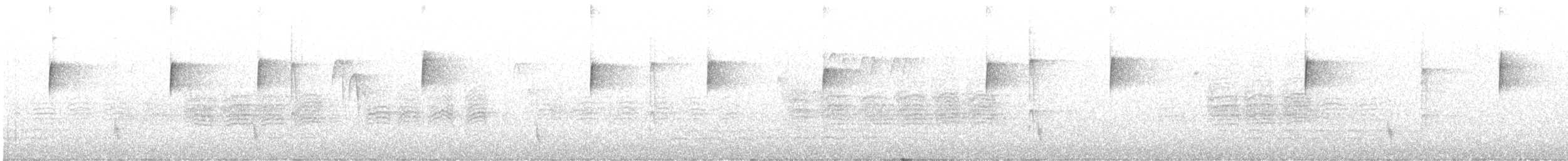 Hermit Thrush - ML645496246