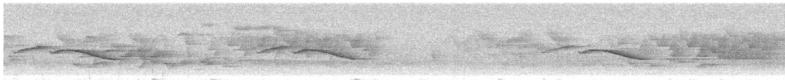 Blue-winged Minla - ML645496649