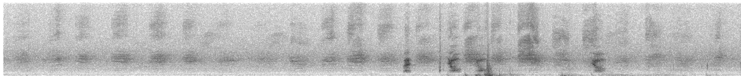 Ghiandaia - ML645496758