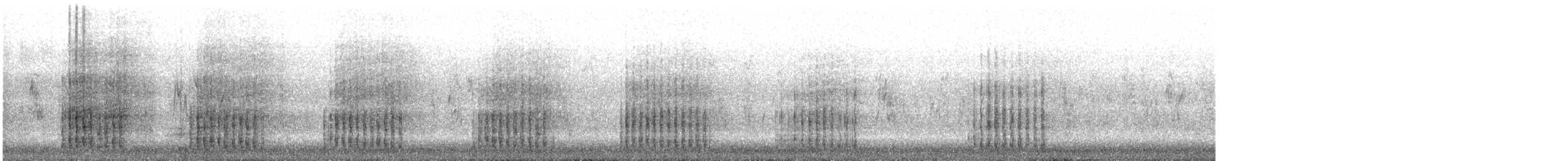 Airone bianco maggiore - ML645496804