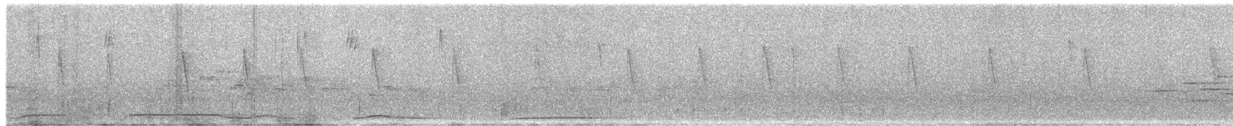 White-bellied Green-Pigeon - ML645496819