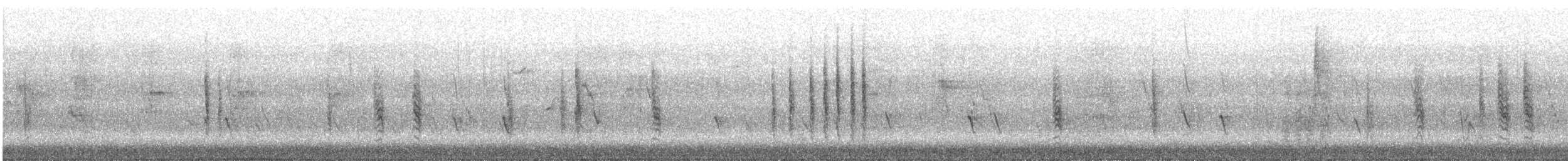 Passera mattugia - ML645496822