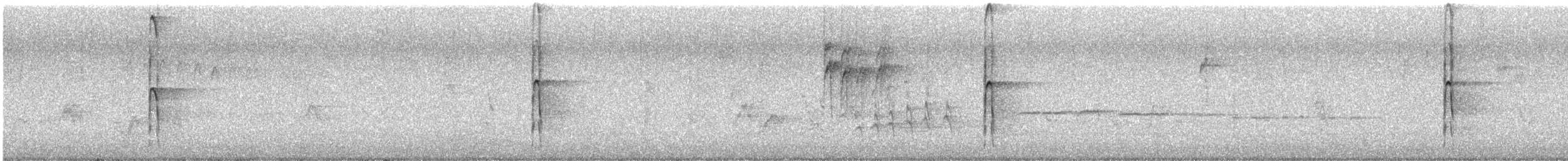 Hairy Woodpecker (Eastern) - ML645496884