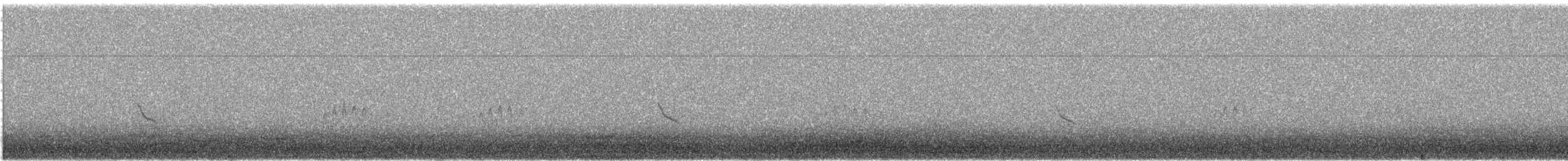 Zigolo delle nevi - ML645497060