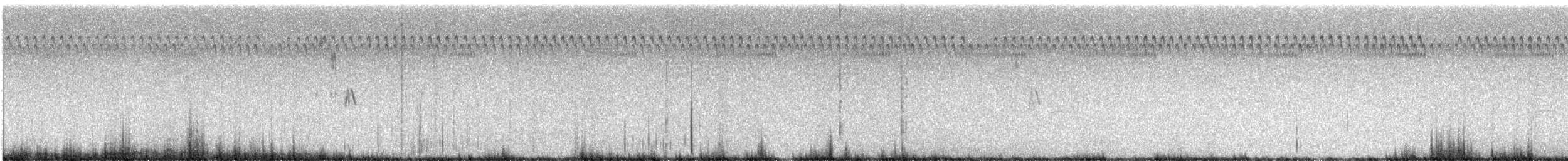 Henslow's Sparrow - ML645497080