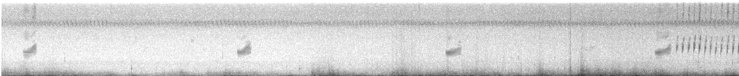 Шпаркос східний - ML645497290