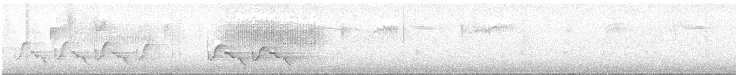 Поплітник каролінський - ML645497319