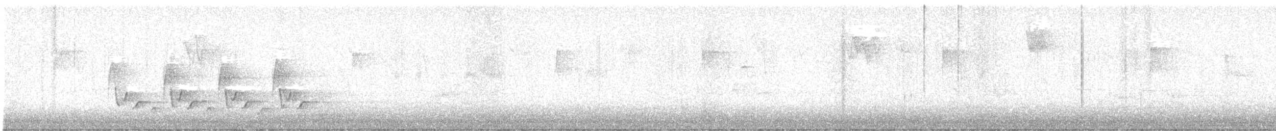 Поплітник каролінський - ML645497452