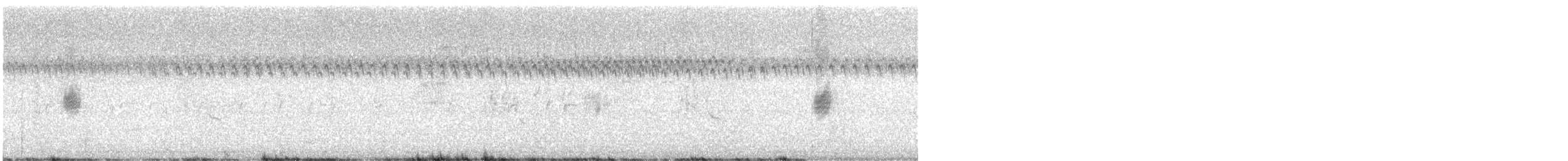 Шпаркос східний - ML645497471