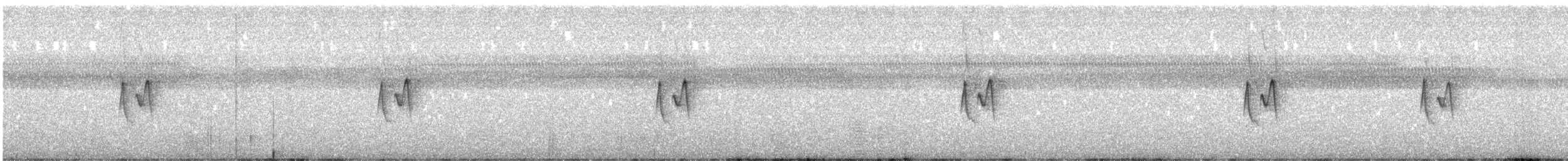 Вівчарик алтайський - ML645497613