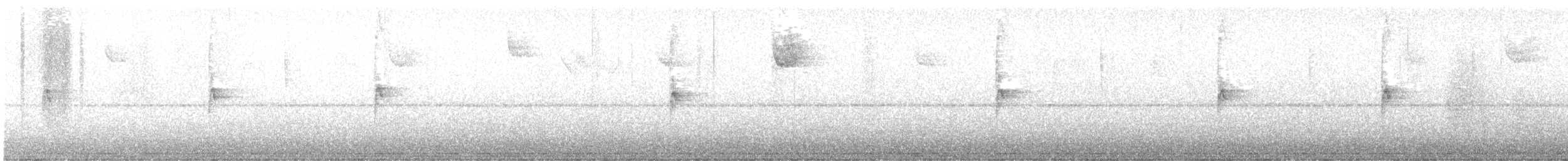 White-throated Sparrow - ML645497753