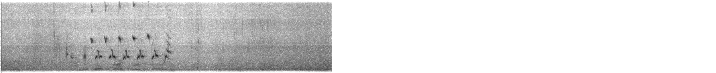 Волоочко фолклендське - ML645498052