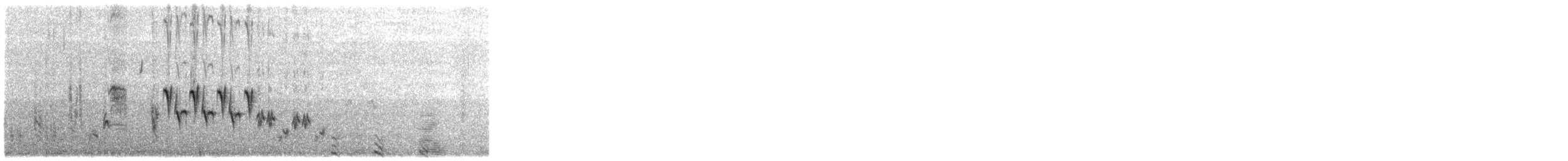 Волоочко фолклендське - ML645498053