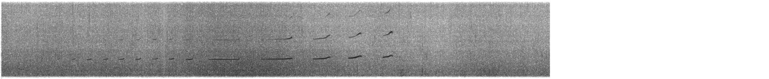 Кулик-сорока магеланський - ML645498059