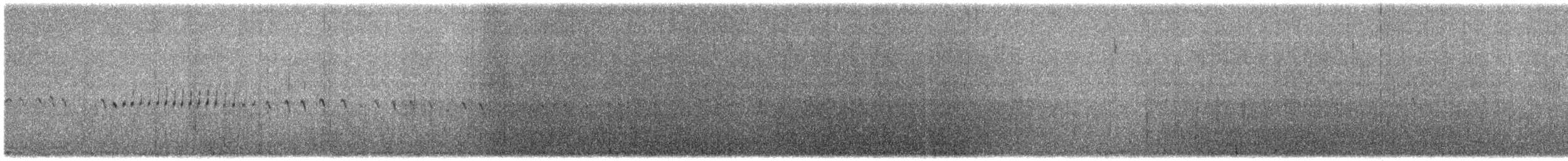 Трясохвіст острівний (підвид antarcticus) - ML645498065