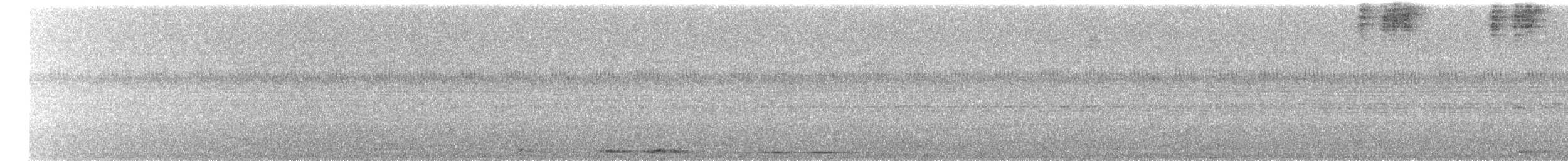 Plumbeous Pigeon - ML645498094