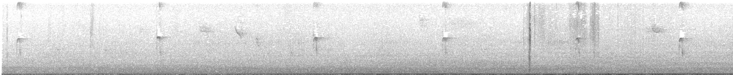 Hairy Woodpecker - ML645498105