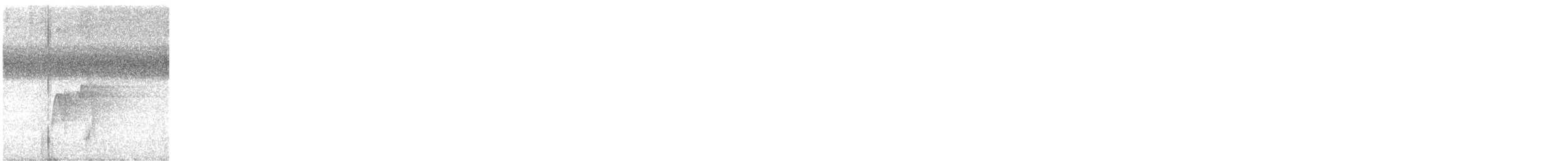 Піві-малюк оливковий - ML645498922