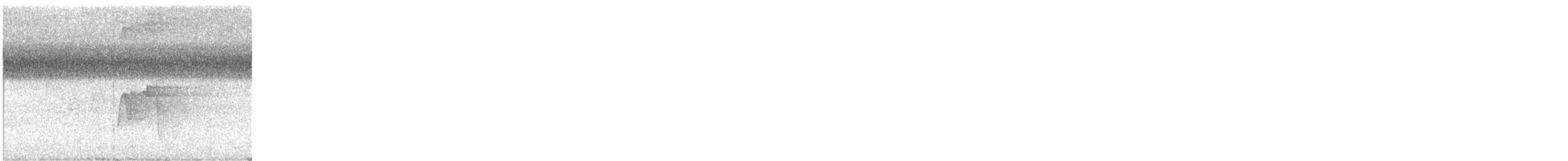 Піві-малюк оливковий - ML645498923