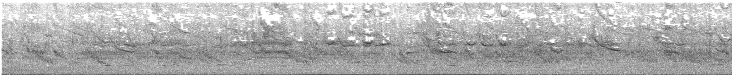 Red-winged Blackbird - ML645498958