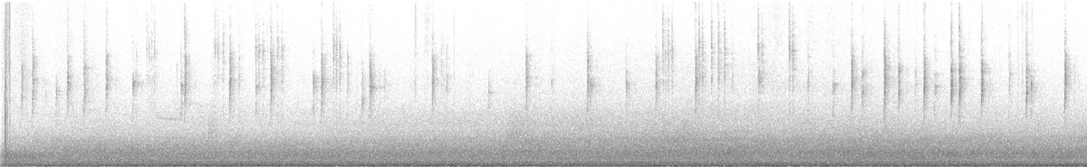 メキシコマシコ - ML645499129